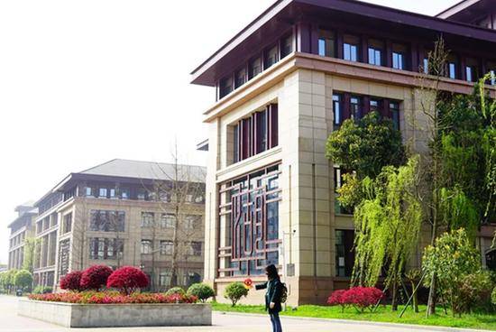 棠湖中学入选国家级示范校!他们还有哪里值得关注?