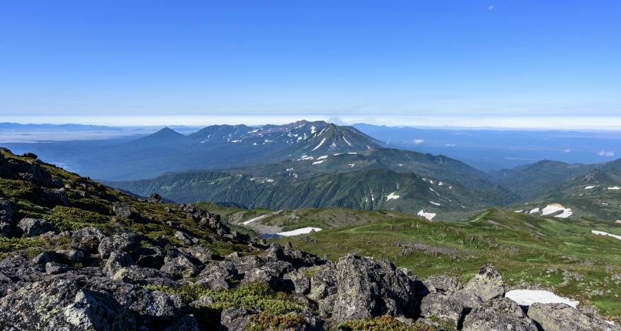 家电直播带货进入深水区:厂商们兵马未动得粮草先行!-家电圈官网