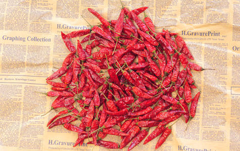 干辣椒种类有很多,如子弹头,二荆条,陕西线辣椒,云南小米辣,七寸厚皮