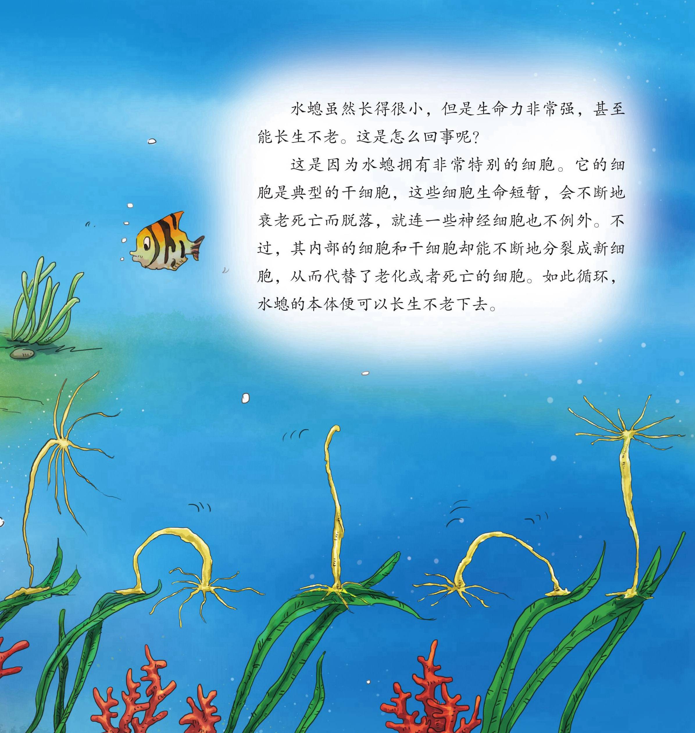 儿童绘本故事推荐《海洋里的怪物中》