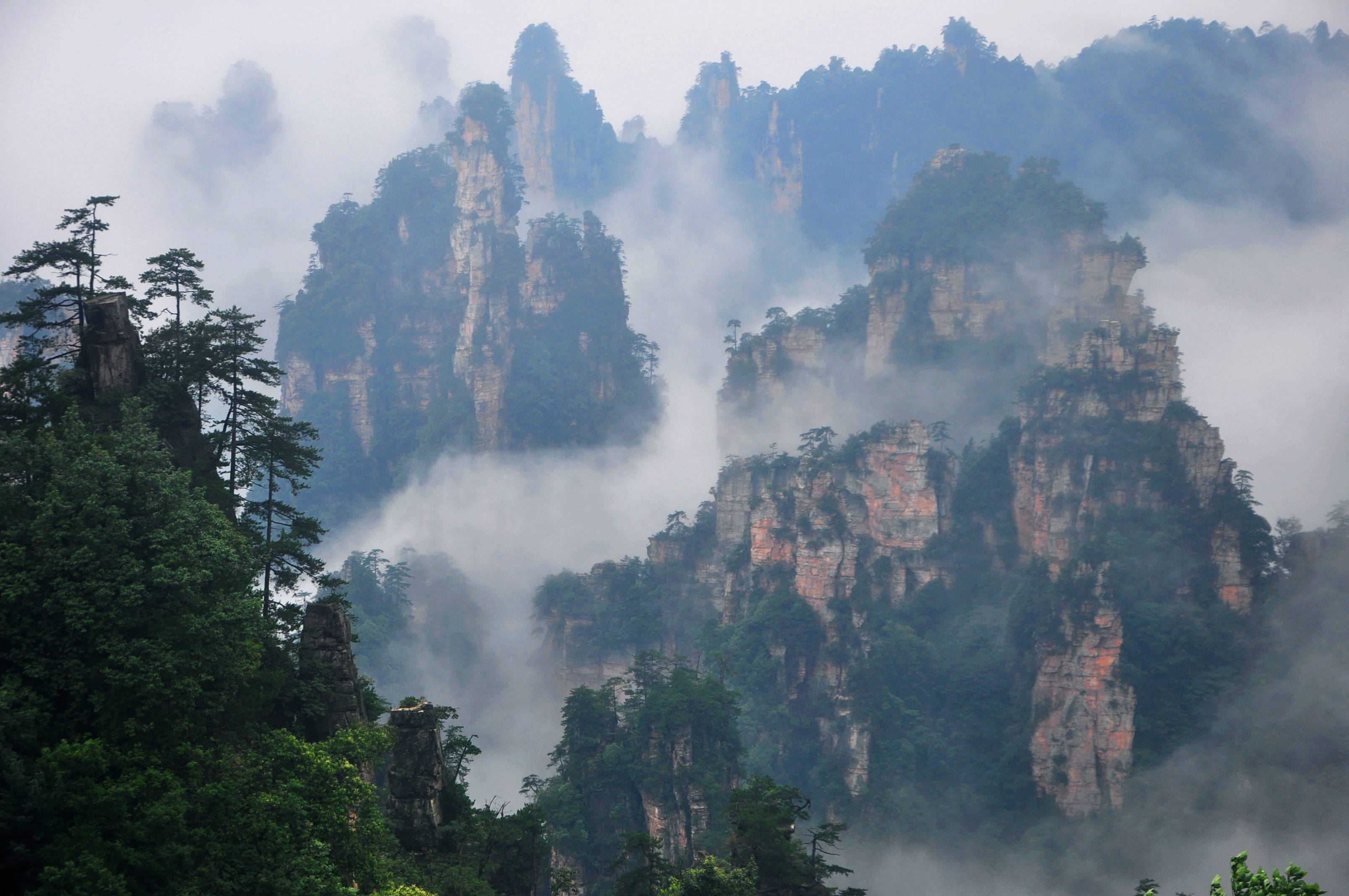 张家界武陵源:八方游客争睹云海仙景(组图)