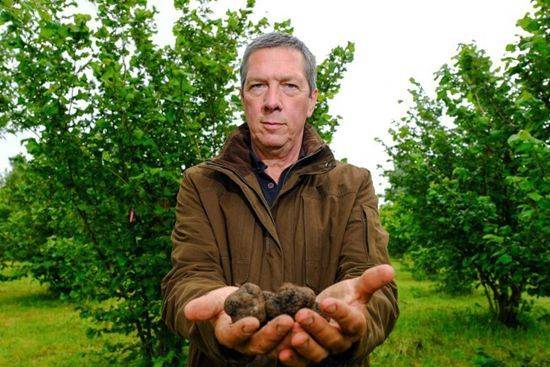 英国农场主迈克·科里森(mike collison).