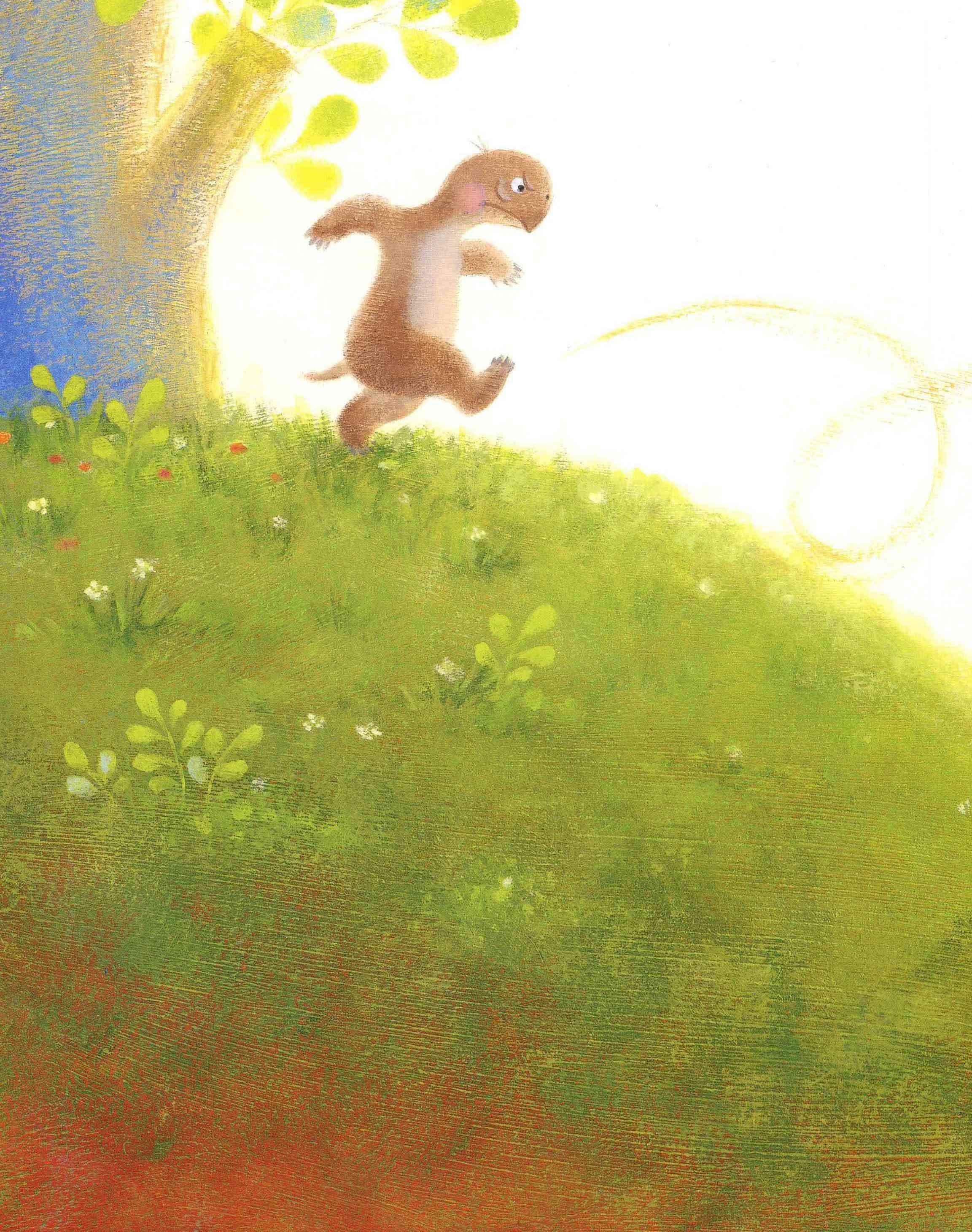 儿童绘本故事推荐把壳丢掉的乌龟