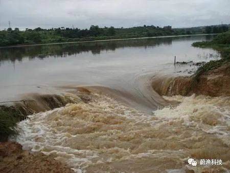 "梅雨季节"对水产养殖的影响以及防治措施!