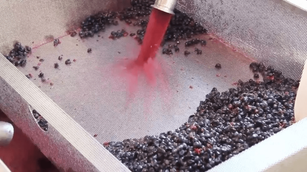 主发酵完成后,立即进行皮渣分离,把自流汁合并到干净的容器里,满罐