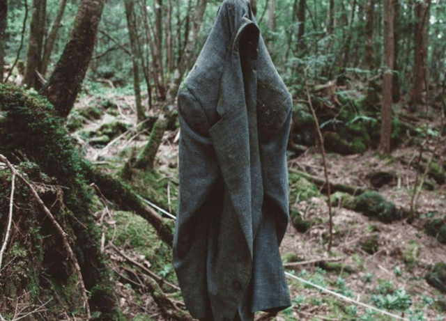 日本最恐怖的森林演员图片