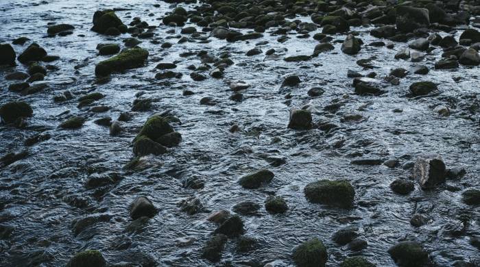 今年彩电业上半程盘点：海信创维小米TCL竞争全面分化-家电圈官网