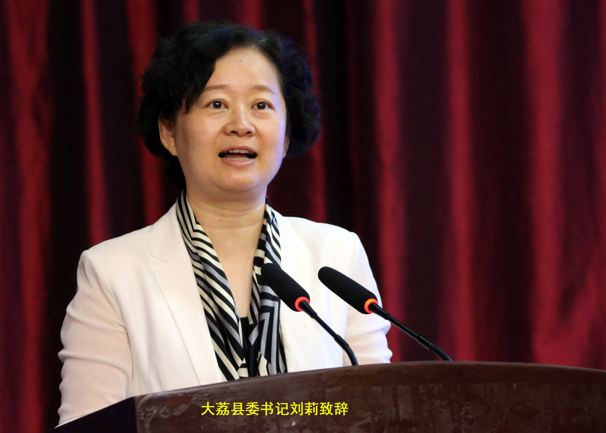 "同心﹒追赶超越乡村振兴"座谈会"围绕贯彻落实大荔县委"1 "发展思路