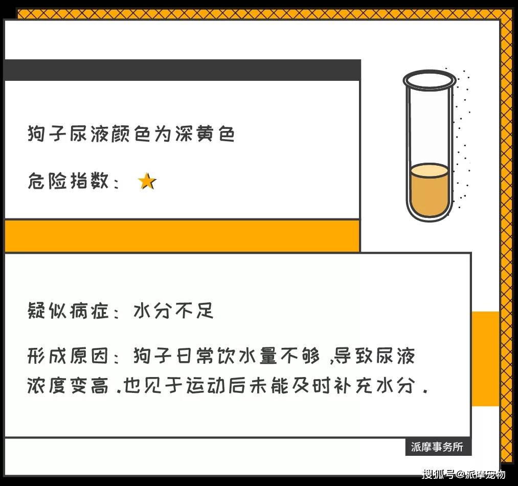 狗狗的尿液竟然有這麼多秘密,你都知道嗎?_顏色