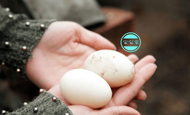 回老家看奶奶,吃了一顿"鸳鸯蛋"做的饭,孩子玩嗨了!_鸭子