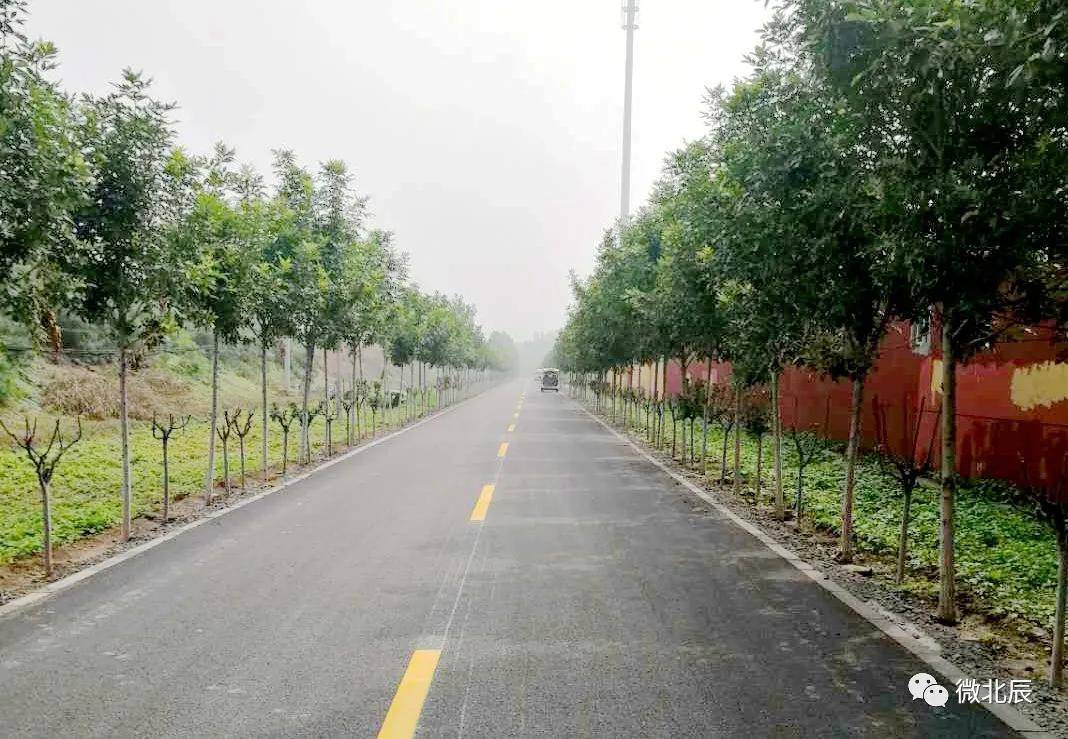 刷新乡村"颜值"!今年,北辰提升改造这14条农村公路