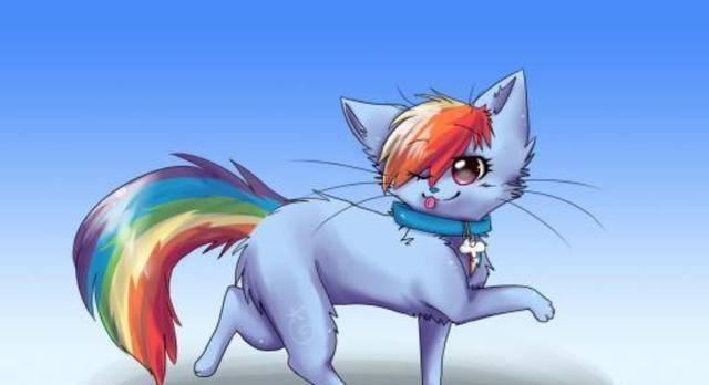 小马宝莉当主角团猫化后云宝超可爱萍琪派太兴奋