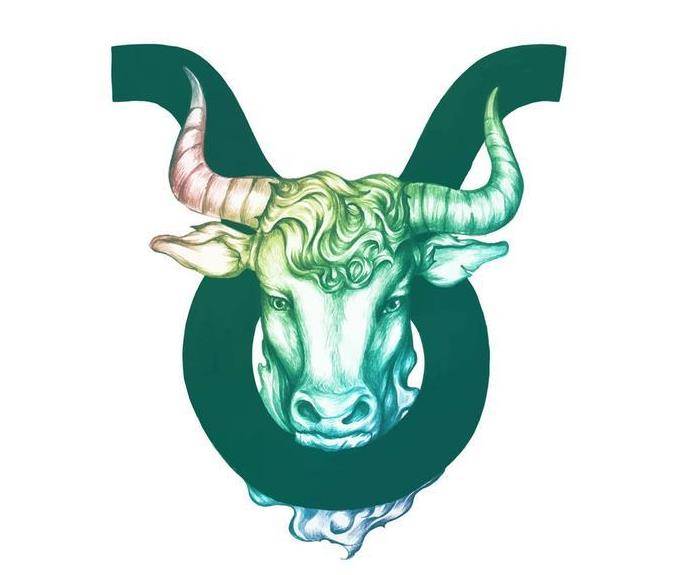 如何追到不喜欢你的金牛座男生