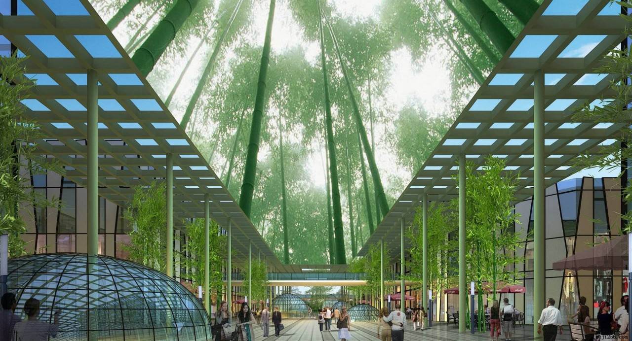 如何打造一个有发展力的竹产业园?