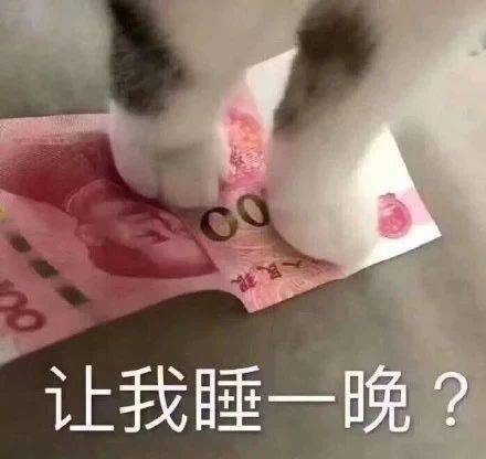 撩人照片搞笑图片