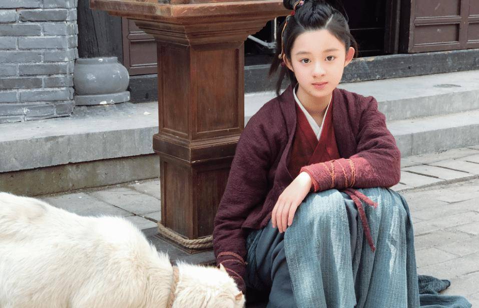 上更占据优势,因为出演的影视剧都是大热ip,除《楚乔传》与《重启》外