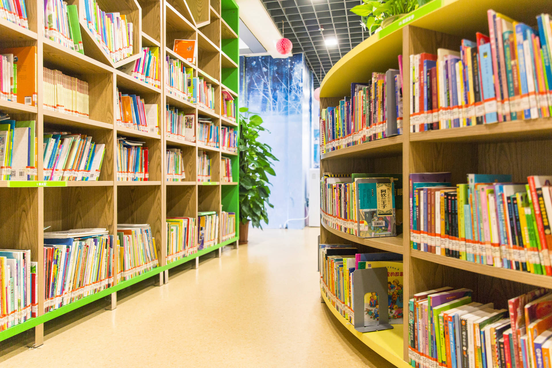 该由谁,该怎样给学生荐书?