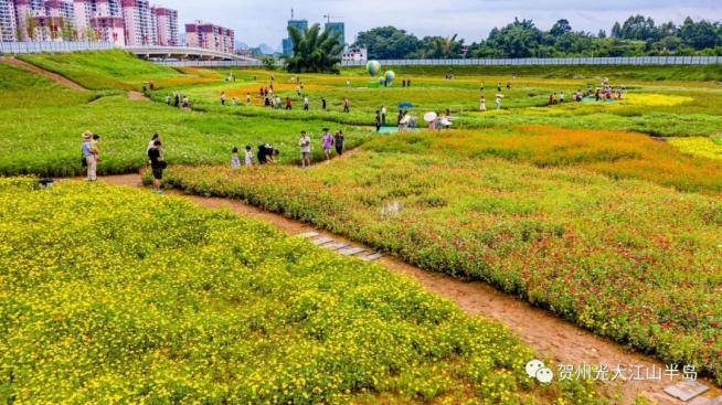 光大江山半岛丨一大波高颜值美照来袭贺州人看完都激动了
