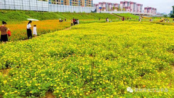 光大江山半岛丨一大波高颜值美照来袭贺州人看完都激动了