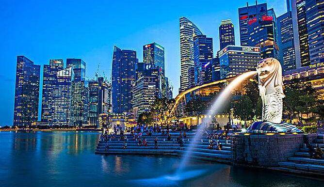 在新加坡注册公司做外贸生意，做什么商品比较合适？