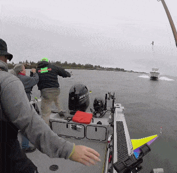 搞笑段子|搞笑GIF趣图：能打败我的只有我自己