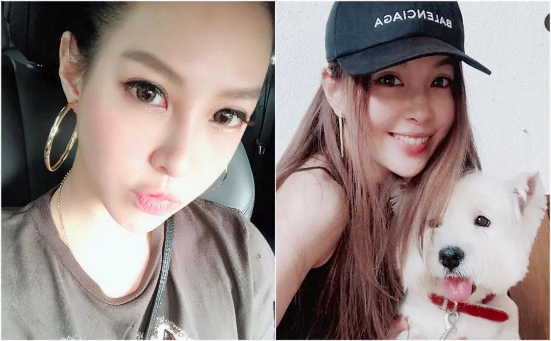 网红嫁天王,网络时代社交名媛生存记