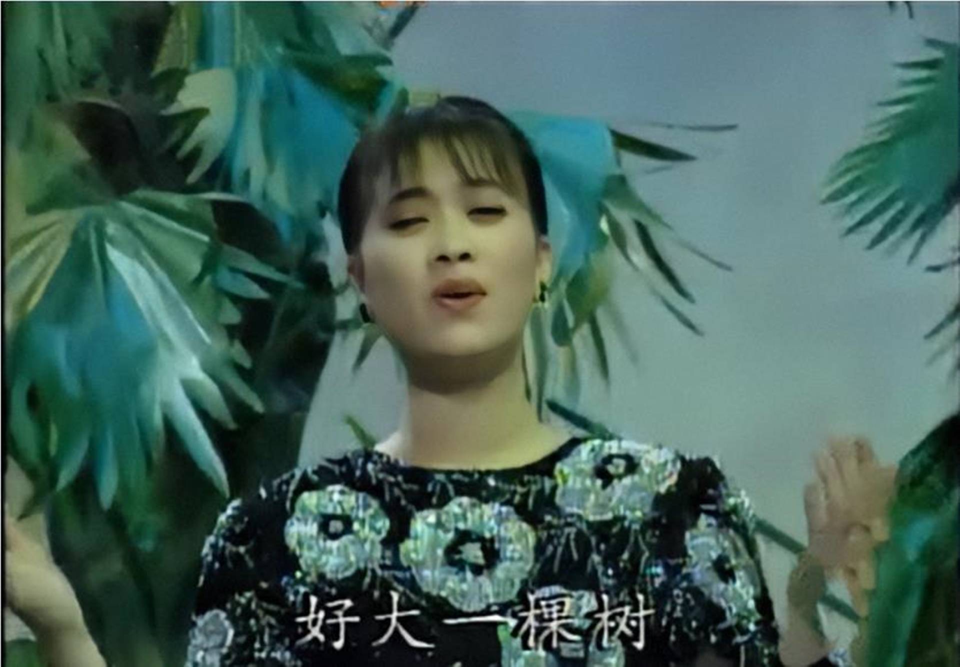 还是新人的那英,第一次出现在春晚舞台上,再次演唱了这首《好大一棵树
