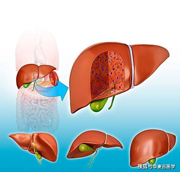 脚掌颜色发白,发黄