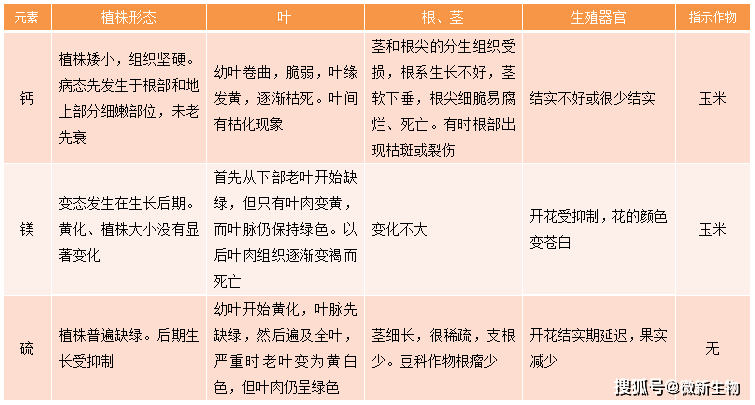 种子预览图解期限特征图片