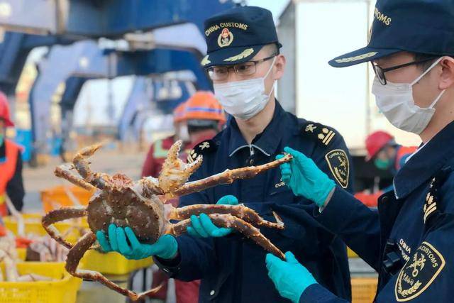 这类公务员制服真的太太太太帅了,高清图片来袭!_海关