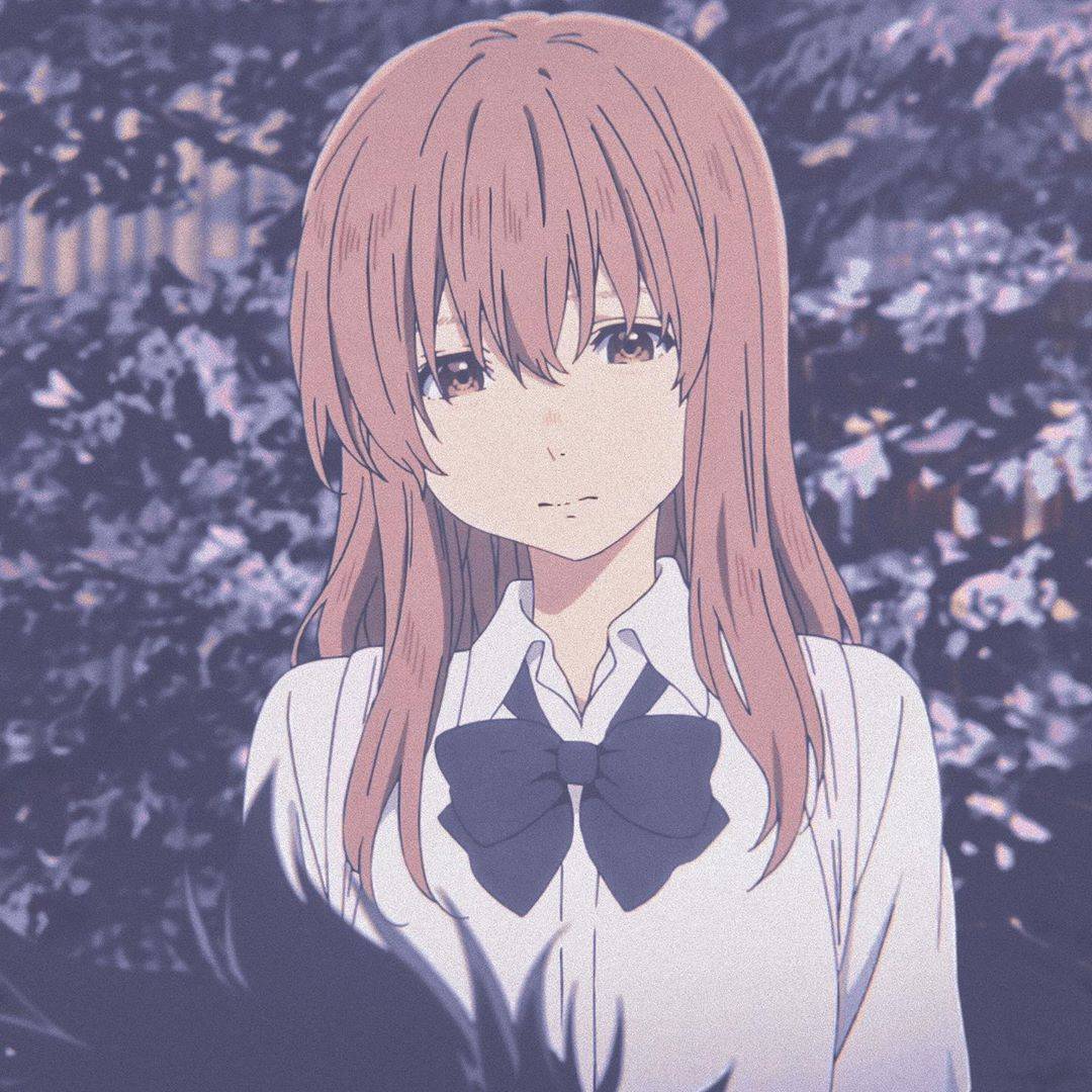 高清无水印自截动漫头像分享声之形