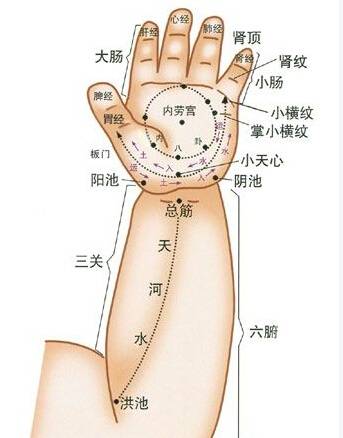 平肝:肝经穴在食指掌面,清肝经从食指指根推向指尖,每次300下