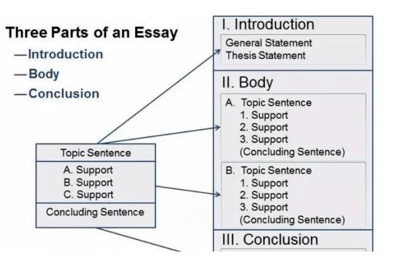 essay 的写作结构 essay的结构每一部分应该写什么,一般的essay结构