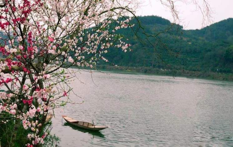 明 心灵诗幻原创作品 (一) 太过遗憾 太过遗憾地丢失 丢失了桃花渡口