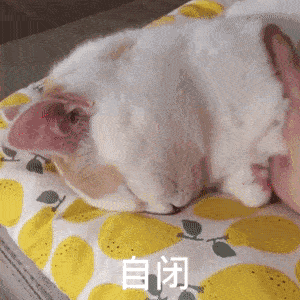 搞笑沙雕表情包