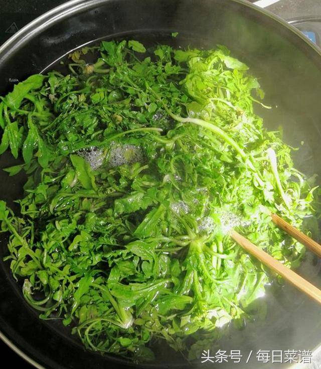 什么是野田菜,野田菜怎么做才好吃插图(3)