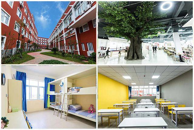 南昌弘艺文化艺术学校创办于2001年,是经教育局批准成立的一所集美术