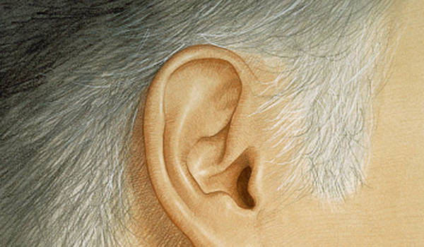 两鬓白发指的是耳朵旁边出现白头发,这种情况主要由肝胆气血不足和