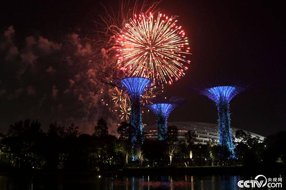 新加坡夜空上演烟花秀 庆祝国庆日