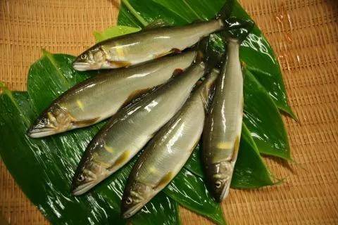 日本美食:香鱼,才是日本人从襁褓带来的味觉!