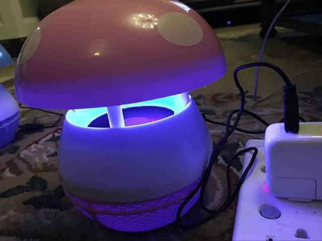 可能有的家长会问了,那么,那些 驱蚊的音乐有没有效果呢?