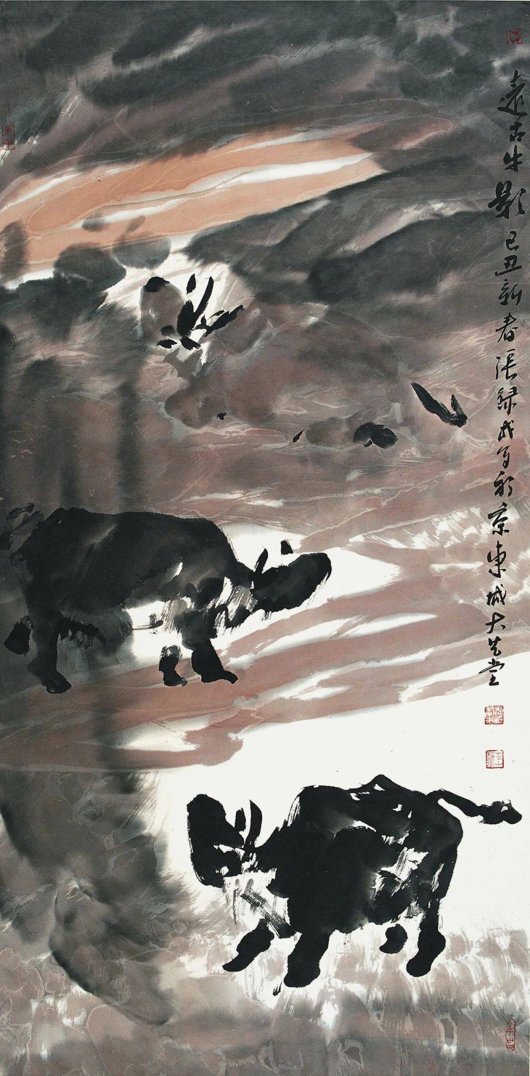 风范| 张录成:每个生命,都本是未被驯服的牛