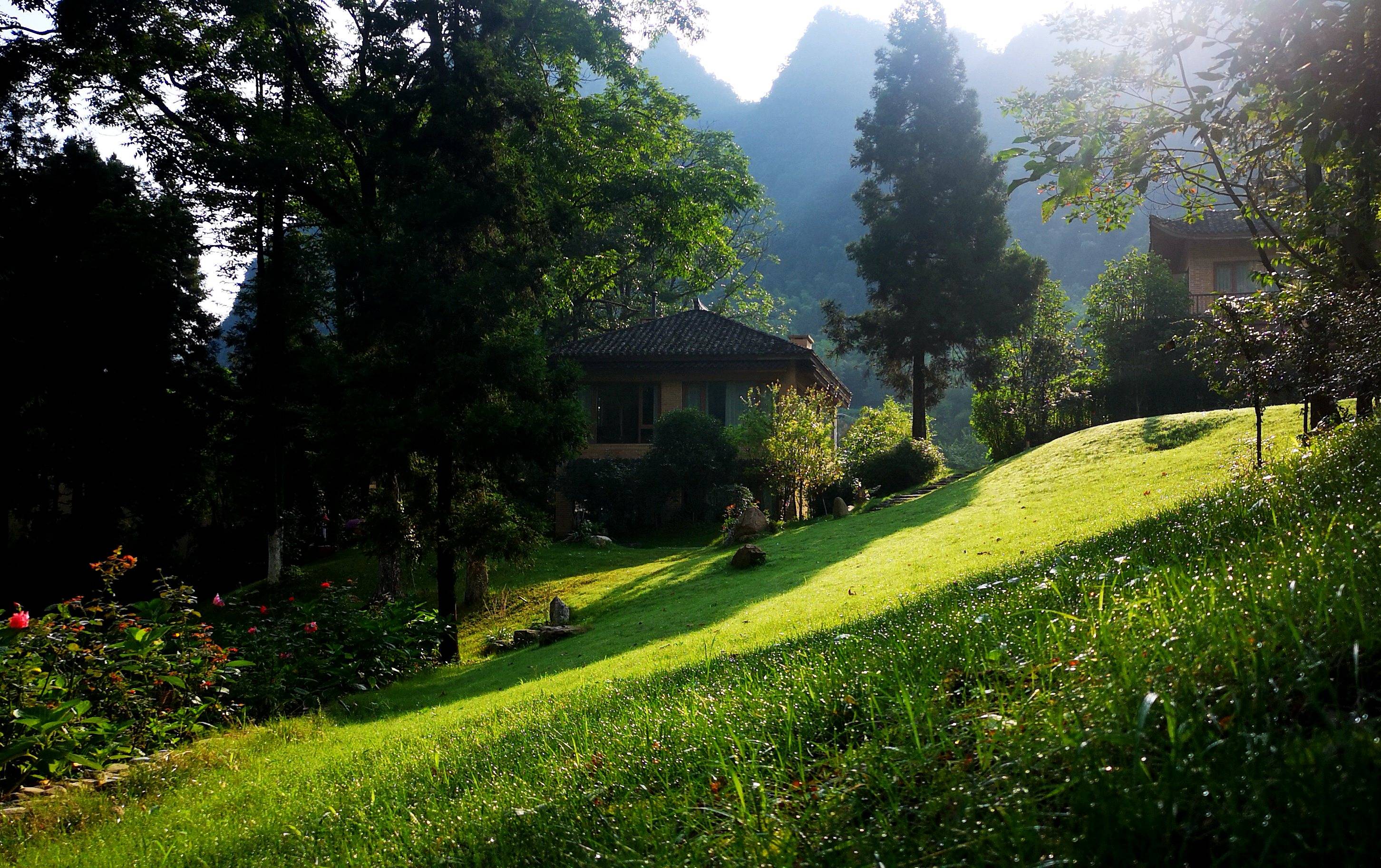 青山翠绿,处处生机盎然,置身在被绿意温润的自然田园包裹着的民宿