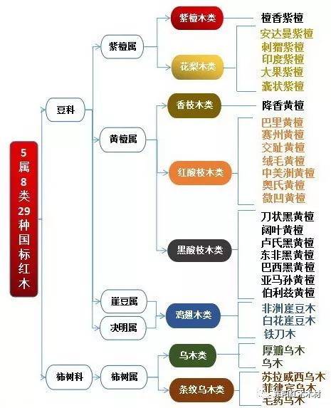 乌木鉴别方法图片