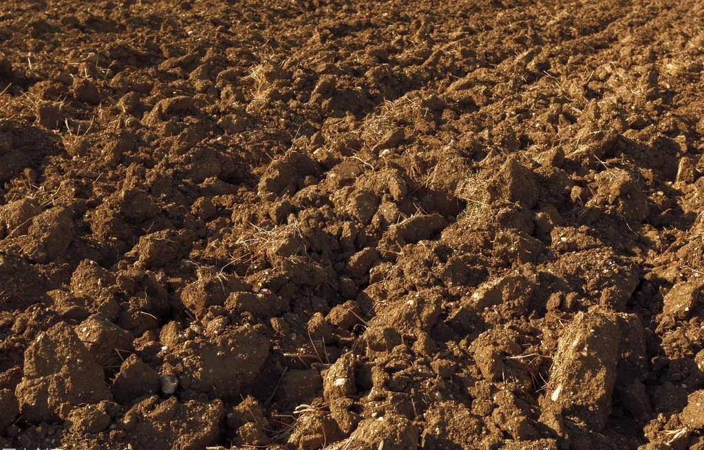 中国15种主要土壤类型和具体分布地区