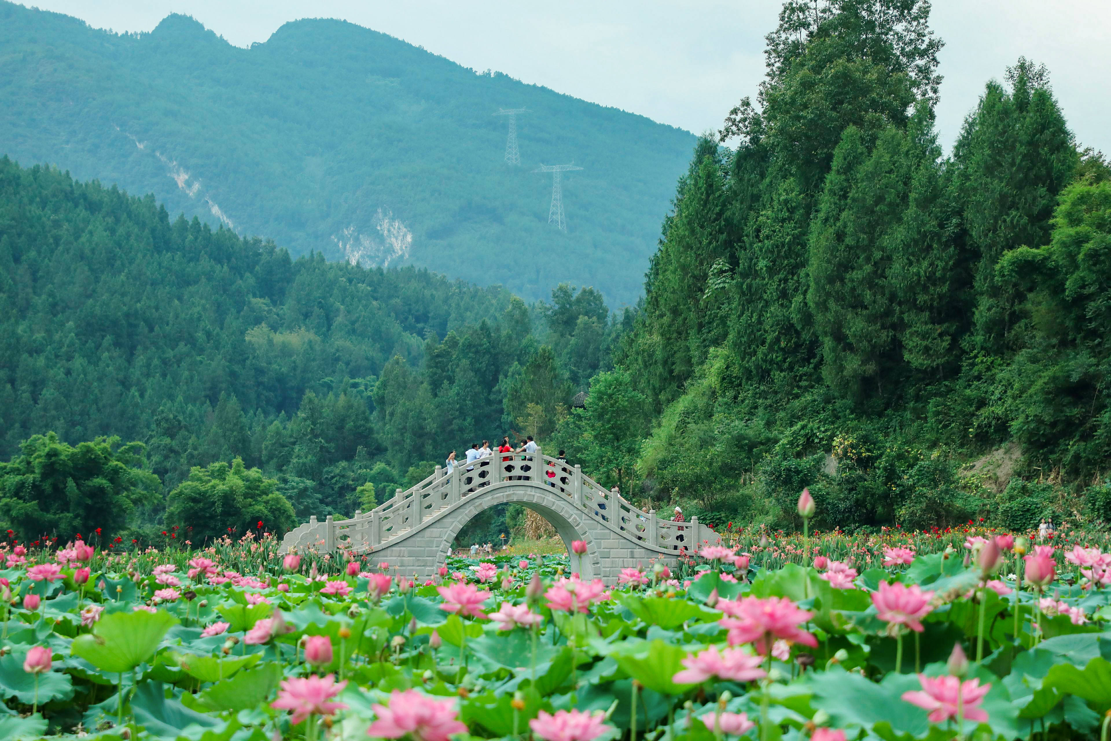 实际上,近年来武隆乡村旅游可谓是异军突起,差异化打造使得武隆全域