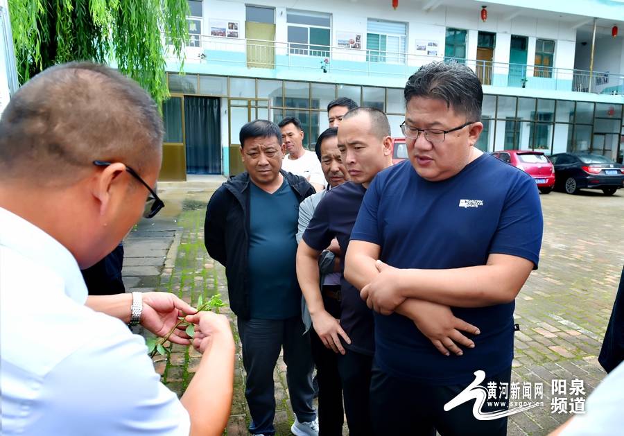 盂縣南婁鎮組織鎮村幹部到平定縣考察連翹種植項目