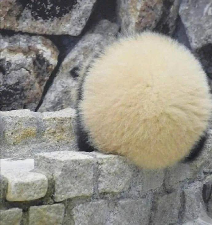 图片[13] - 【xizi被窝段子20200818】人生的旅程就是这样：用大把时间迷茫 在几个瞬间成长 - xizi