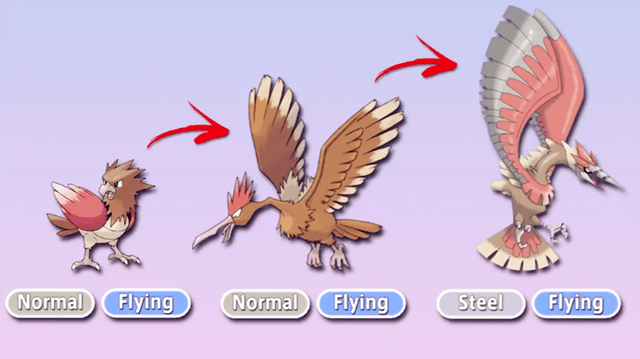 飞行系宝可梦再次进化,乌鸦头头变座山雕,两代家门鸟获得蜕变