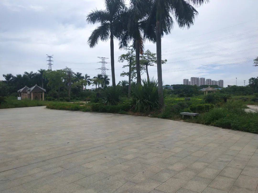 走进南宁心圩江湿地公园,这公园的面积未来比南湖公园还要大!